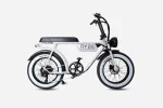 E-Fatbike Ryde Culture Bike 36V 14AH - Winter White