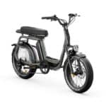 Vélo électrique Elwing Ritmic Duo - Cargo biplace