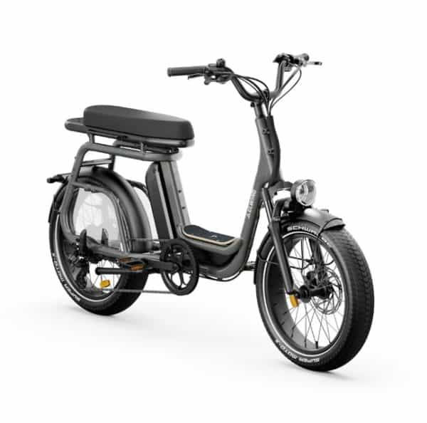 Vélo électrique Elwing Ritmic Duo - Cargo biplace Vélo électrique Elwing Ritmic Duo - Cargo biplace