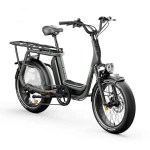 Vélo électrique Elwing Ritmic Jumbo - Cargo longtail