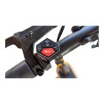 TROTTINETTE ELECTRIQUE DUALTRON ORIENS 52V 30Ah – Image 8