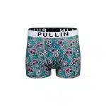 Boxer court PULLIN - Master Mexico