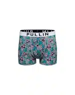 Boxer court PULLIN - Master Mexico