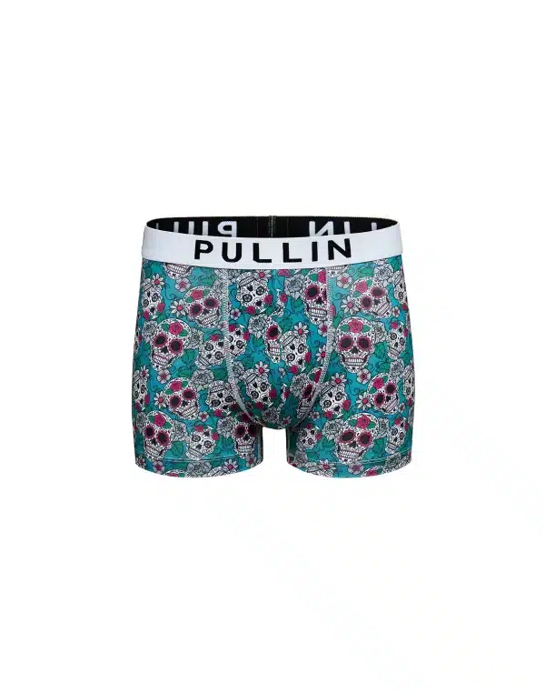Boxer court PULLIN - Master Mexico Boxer court PULLIN - Master Mexico
